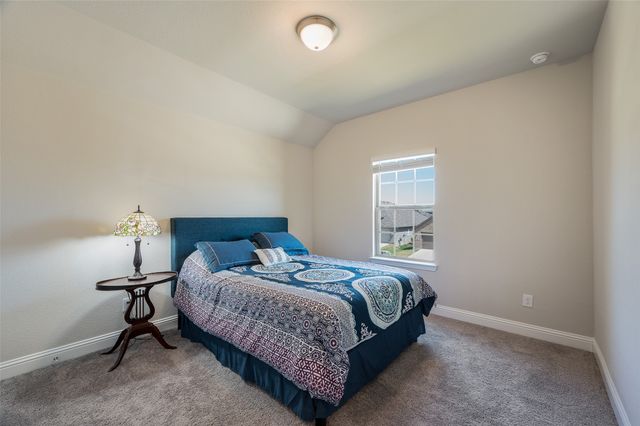 6005 Horsetail Drive, Mckinney, TX 75071