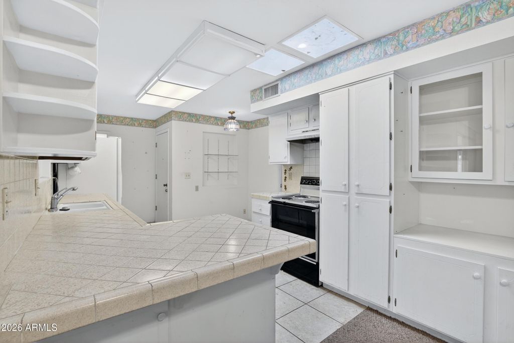 10317 W ANDOVER Avenue, Sun City, AZ 85351 — photo 5