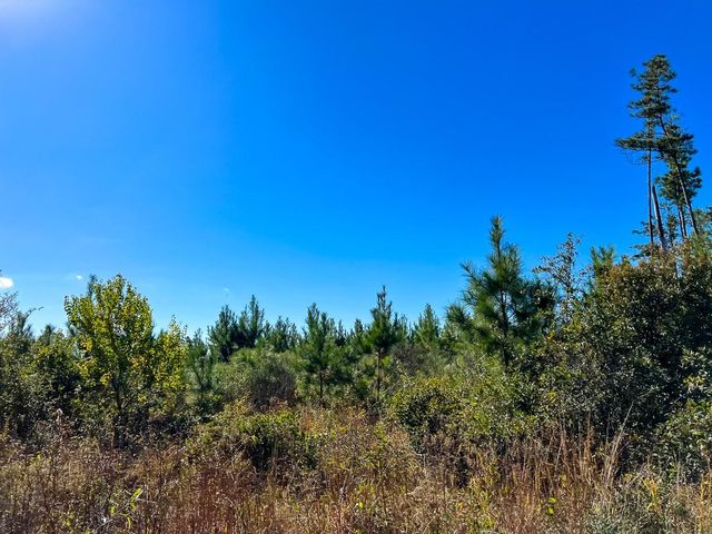 T-4 Fm 787, Votaw, TX 77376