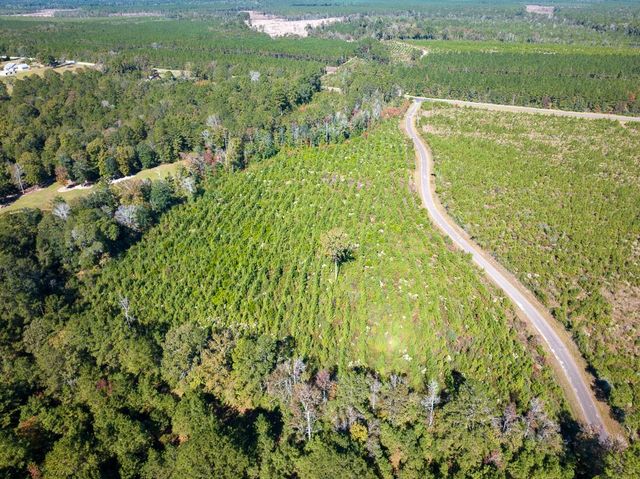 T-4 Fm 787, Votaw, TX 77376