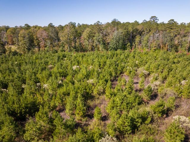 T-4 Fm 787, Votaw, TX 77376