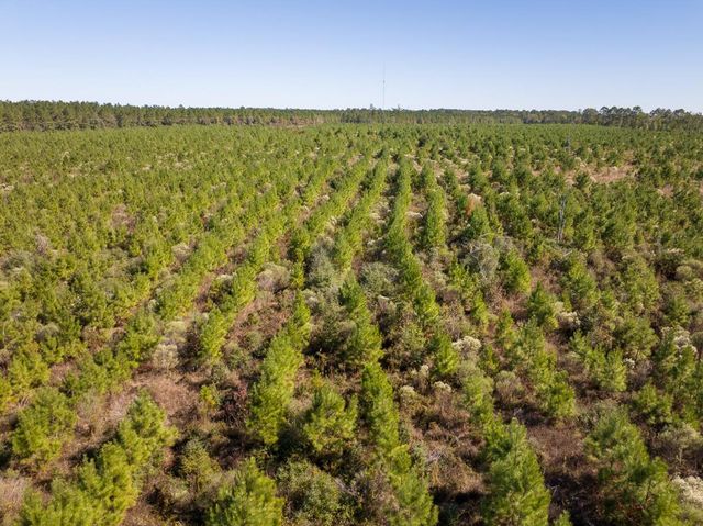 T-4 Fm 787, Votaw, TX 77376