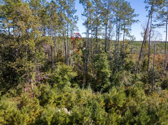 T-4 Fm 787, Votaw, TX 77376