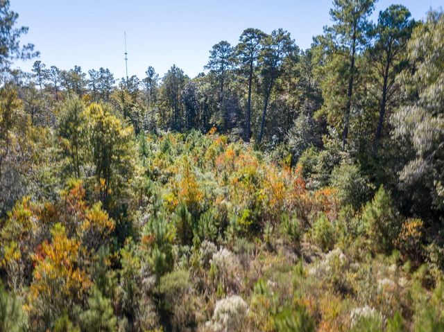 T-4 Fm 787, Votaw, TX 77376