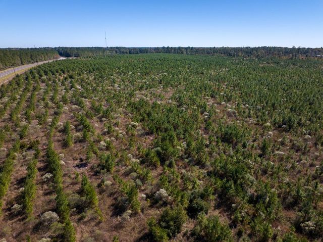 T-4 Fm 787, Votaw, TX 77376