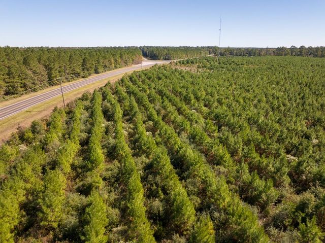 T-4 Fm 787, Votaw, TX 77376