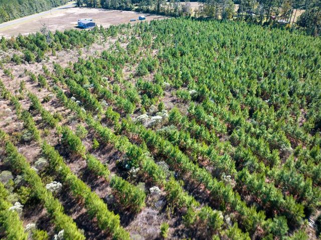 T-4 Fm 787, Votaw, TX 77376