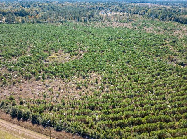 T-4 Fm 787, Votaw, TX 77376