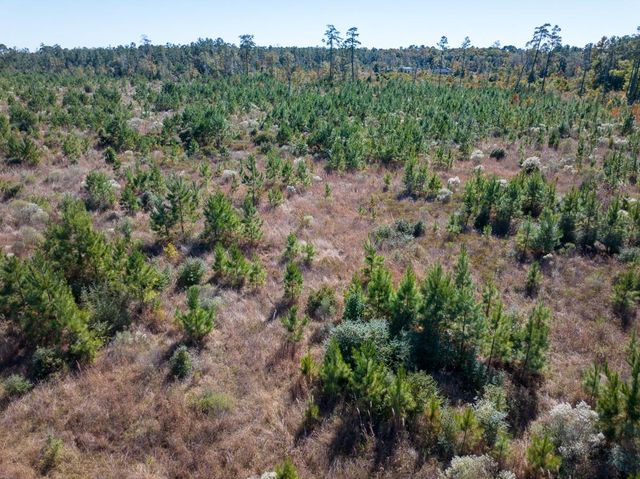 T-4 Fm 787, Votaw, TX 77376