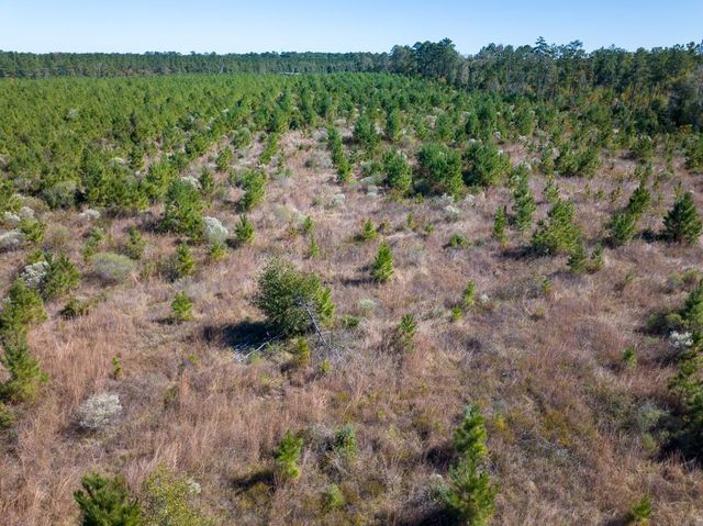 T-4 Fm 787, Votaw, TX 77376