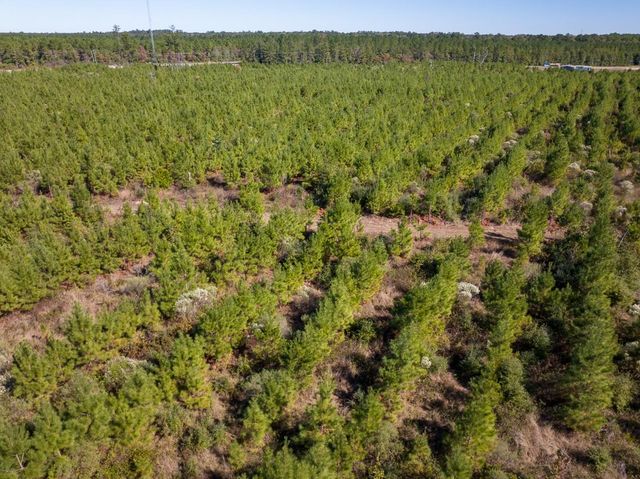 T-4 Fm 787, Votaw, TX 77376