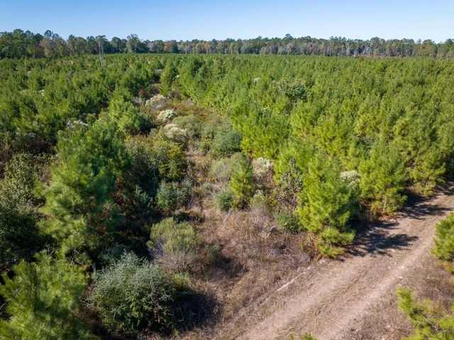 T-4 Fm 787, Votaw, TX 77376