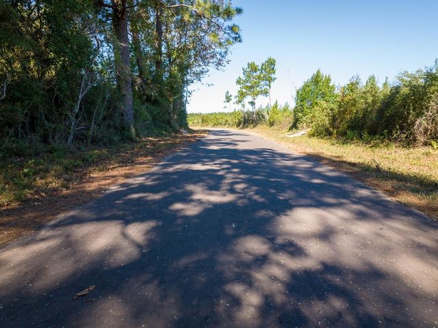 T-4 Fm 787, Votaw, TX 77376