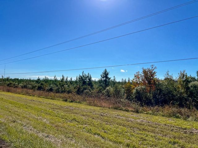 T-4 Fm 787, Votaw, TX 77376