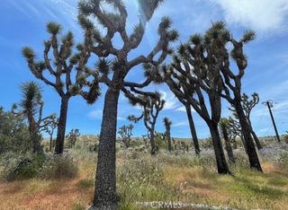 7777 Onaga Trail, Yucca Valley, CA 92284