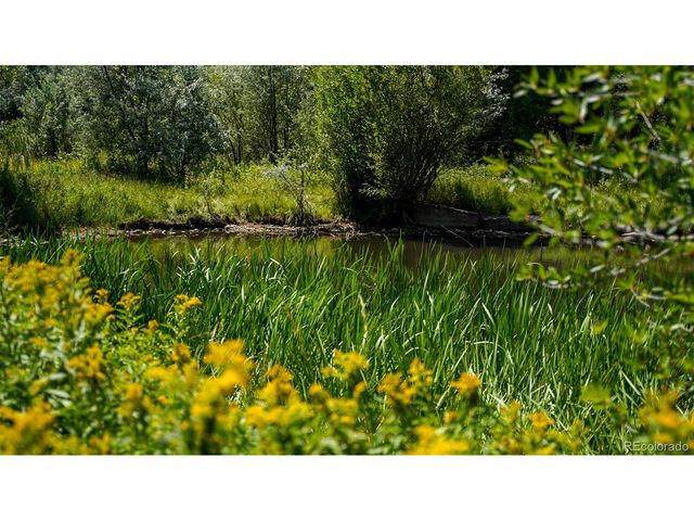 8116 Fawn Run, Salida, CO 81201