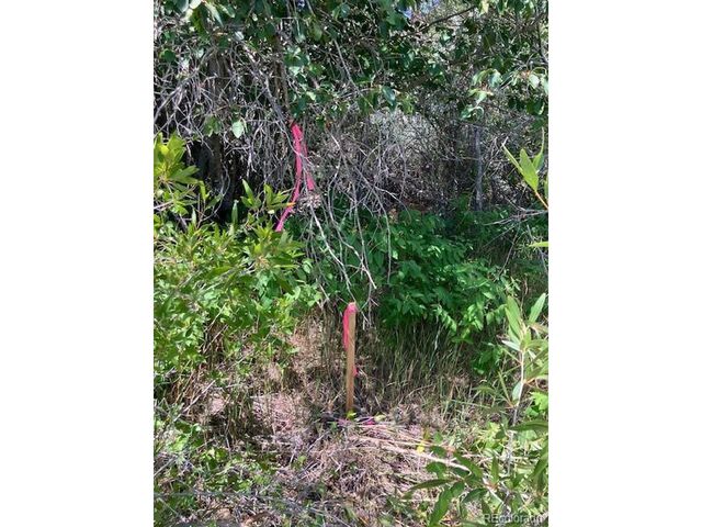 8116 Fawn Run, Salida, CO 81201