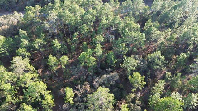 3882 W Fireside Lane, Citrus Springs, FL 34433