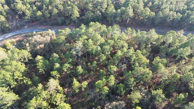 3882 W Fireside Lane, Citrus Springs, FL 34433