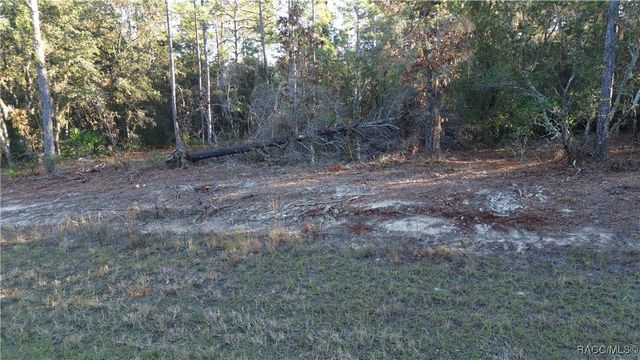 3882 W Fireside Lane, Citrus Springs, FL 34433