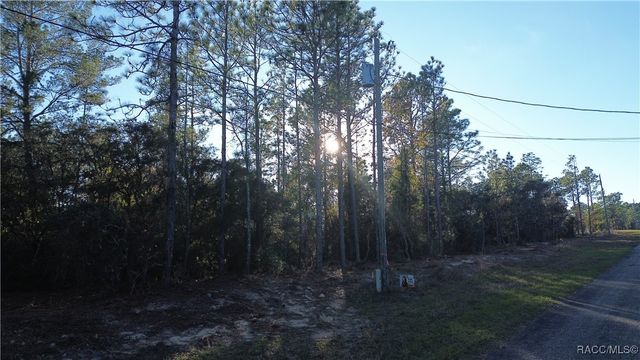 3882 W Fireside Lane, Citrus Springs, FL 34433