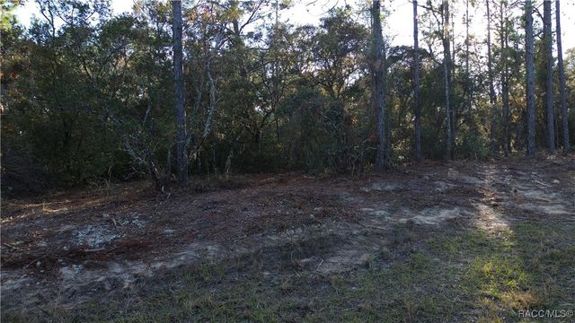 3882 W Fireside Lane, Citrus Springs, FL 34433