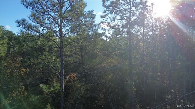 3882 W Fireside Lane, Citrus Springs, FL 34433