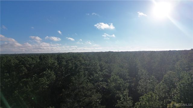 3882 W Fireside Lane, Citrus Springs, FL 34433