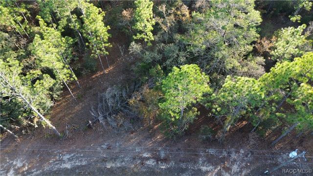 3882 W Fireside Lane, Citrus Springs, FL 34433