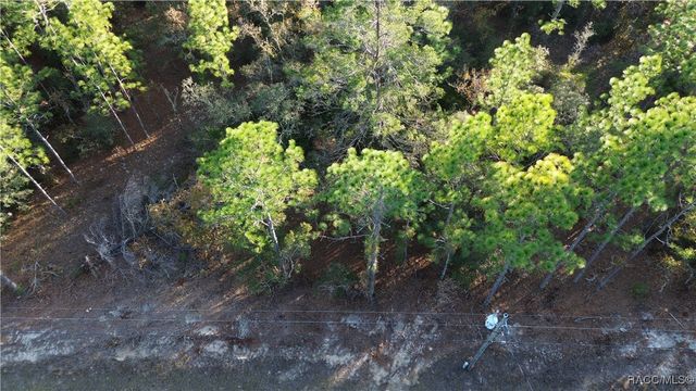 3882 W Fireside Lane, Citrus Springs, FL 34433