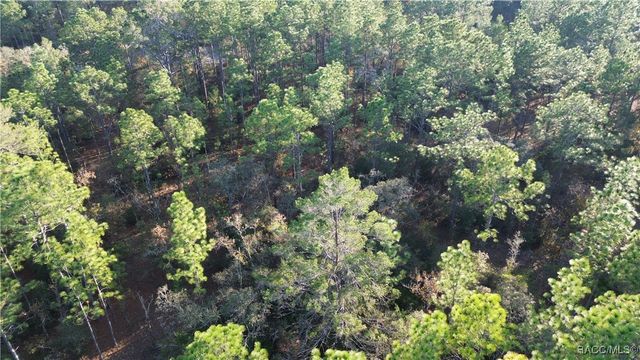 3882 W Fireside Lane, Citrus Springs, FL 34433