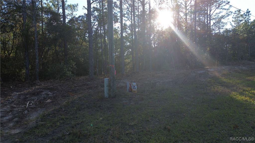 3882 W Fireside Lane, Citrus Springs, FL 34433