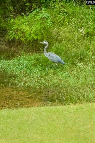 1008 Jones Road, Irmo, SC 29063