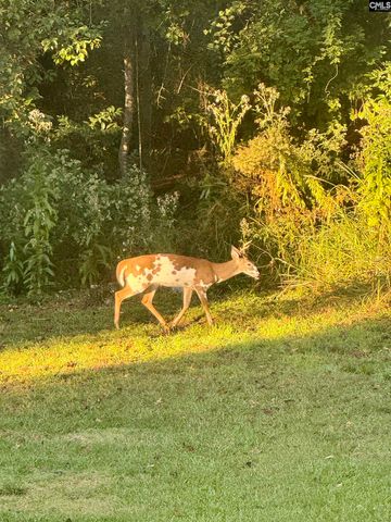 1008 Jones Road, Irmo, SC 29063