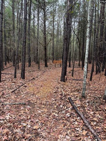 1008 Jones Road, Irmo, SC 29063