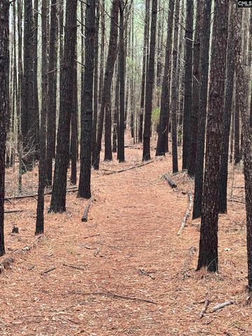 1008 Jones Road, Irmo, SC 29063