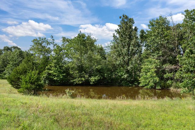 363 Villa Drive, Sparta, MO 65753