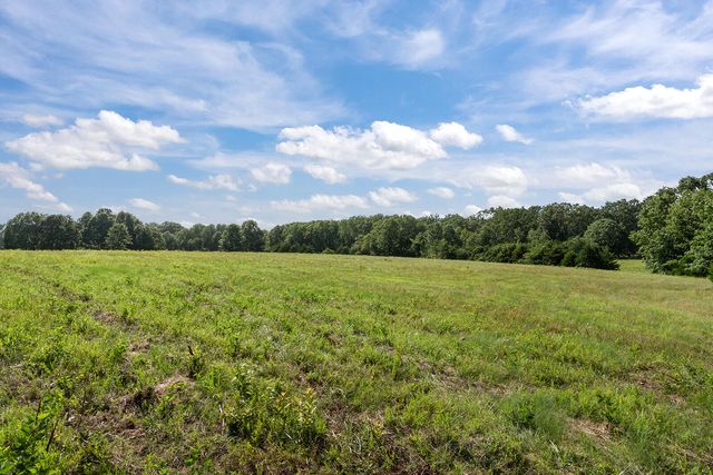 363 Villa Drive, Sparta, MO 65753