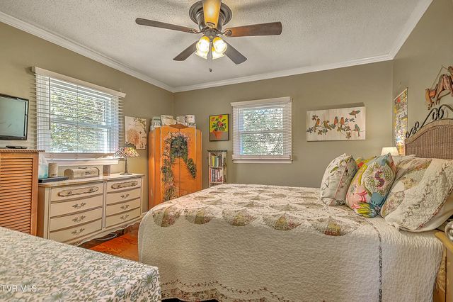 115 Boone Avenue, Johnson City, TN 37615