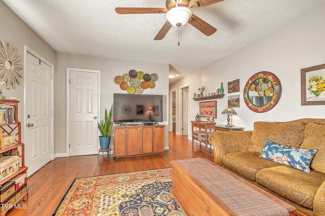 115 Boone Avenue, Johnson City, TN 37615