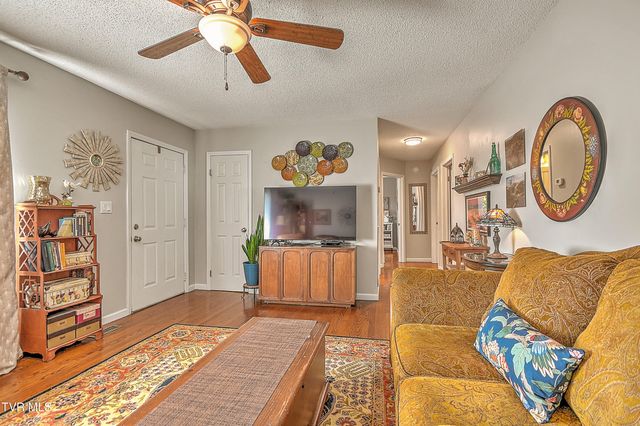115 Boone Avenue, Johnson City, TN 37615