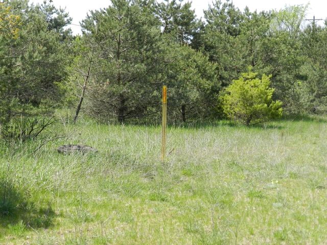 6274 S Us-31, Grawn, MI 49637