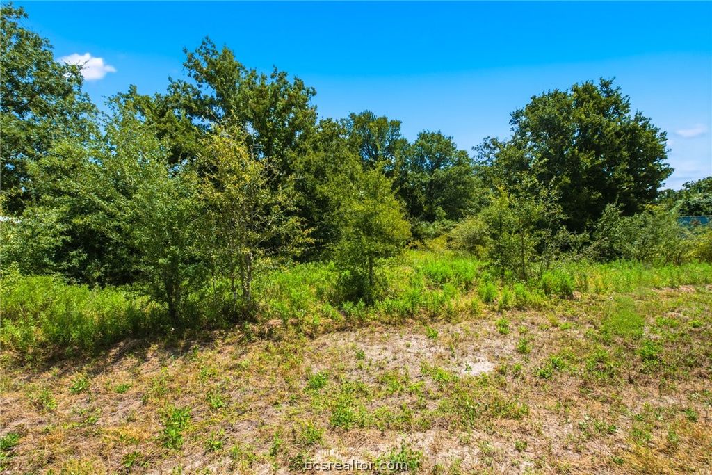 1.01 Acres County Road 436, Snook, TX 77878 — photo 3