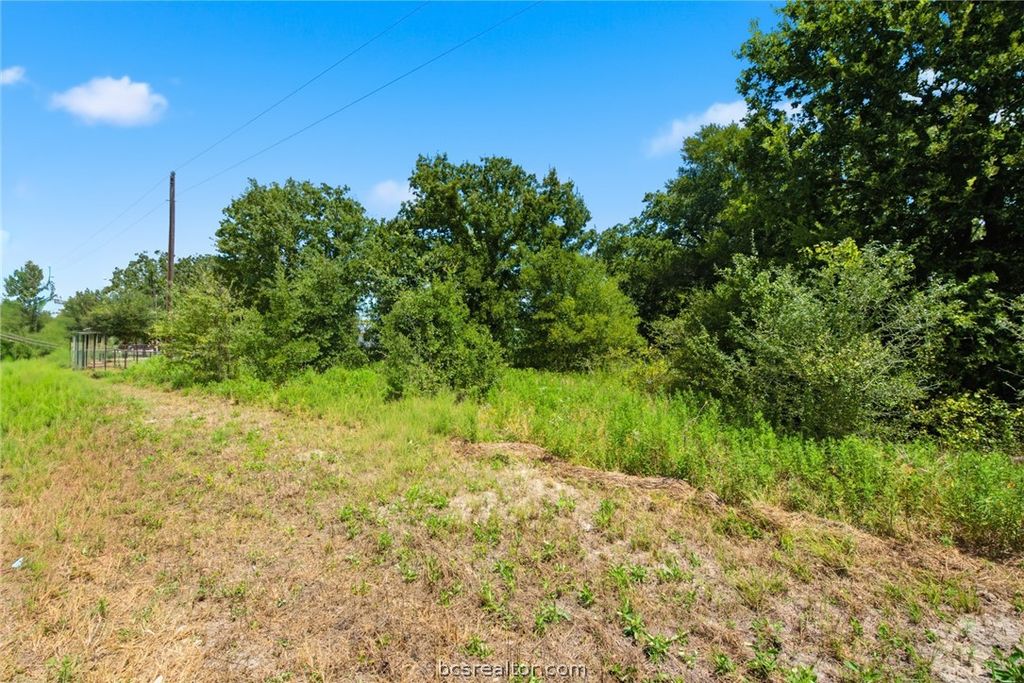 1.01 Acres County Road 436, Snook, TX 77878 — photo 4