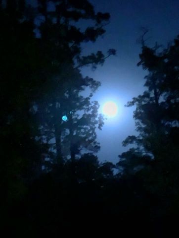 77 Raccoon Ramble, Cleveland, TX 77327