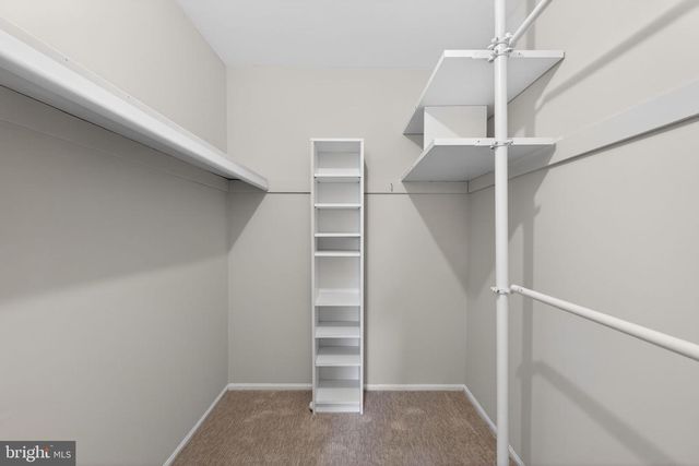 151 EATON DR, Wayne, PA 19087