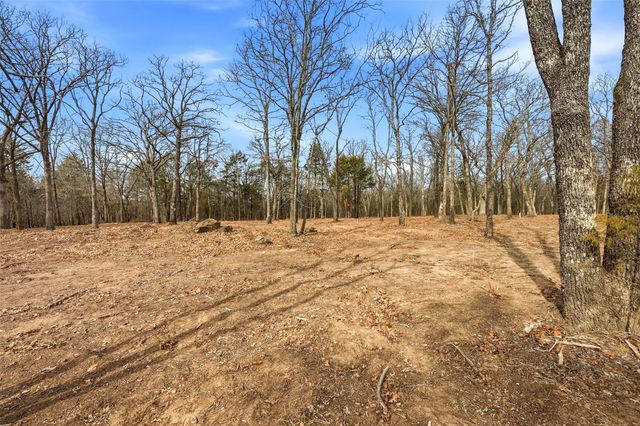 Lot 29 White Tail Way, Pottsboro, TX 75076