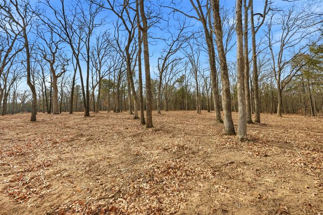 Lot 29 White Tail Way, Pottsboro, TX 75076