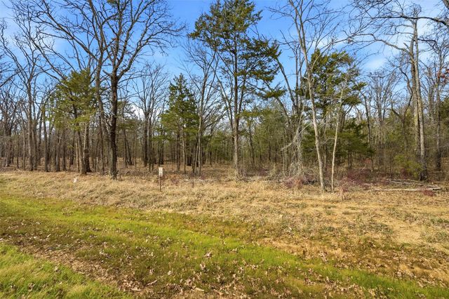 Lot 29 White Tail Way, Pottsboro, TX 75076