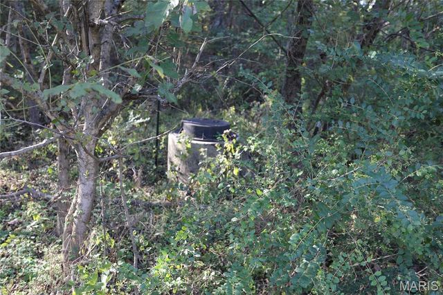 3841 County Road 441, Poplar Bluff, MO 63901